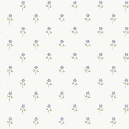  This graceful Anemone wallpaper has blue anemone flowers with green leaves on a white background. 