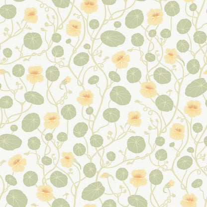  Krasse wallpaper is filled with cheerful Rock Cress flowers in bright yellow tones, with fresh green leaves and winding stems on a white background. 