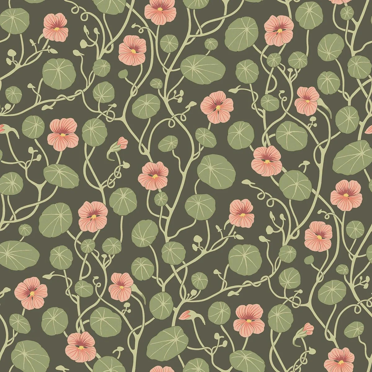  Krasse wallpaper is filled with cheerful Rock Cress flowers in bright yellow tones, with fresh green leaves and winding stems on a white background. 