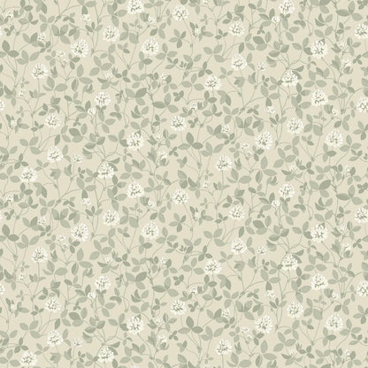  This beautiful Klöver wallpaper has warm white clover flowers among powdery olive-green leaves set on a light beige background. 