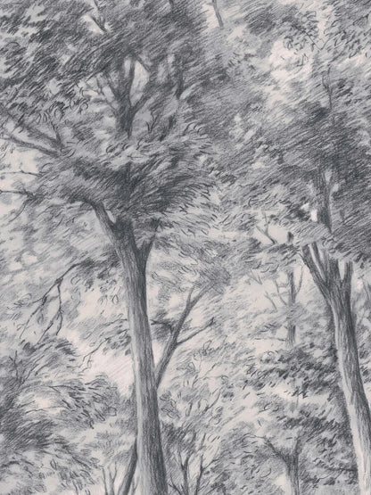 The Sketch of Trees wallpaper transforms your room into a snapshot of a vibrant forest, captured in the midst of a breeze. 