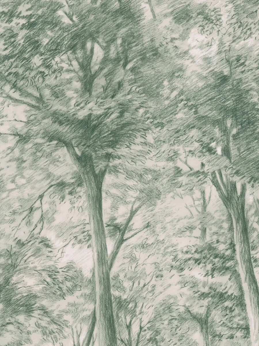 The Sketch of Trees wallpaper features a majestic deciduous forest, meticulously drawn with graphite on finely textured paper.