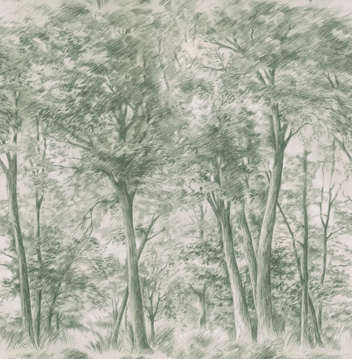 The Sketch of Trees wallpaper features a majestic deciduous forest, meticulously drawn with graphite on finely textured paper.