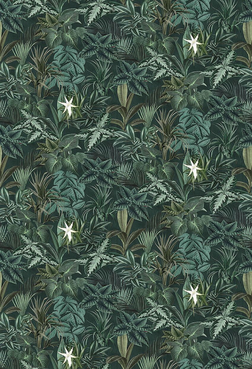 Our Madagascar Leaves wallpaper creates a relaxing space where you can escape the day’s stresses and be soothed by nature’s beauty.